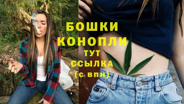 мет Нея